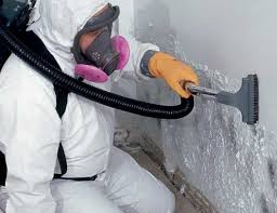  Sheffield Lake, OH Mold Remediation Pros